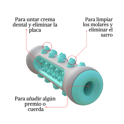 DentiCool 360° | Mastica, Limpia y Entretiene